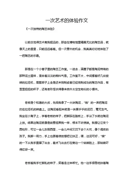 一次艺术的体验作文