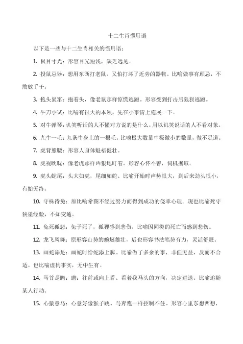 十二生肖惯用语