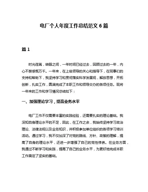 电厂个人年度工作总结范文6篇