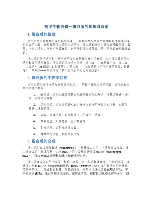 高中生物必修一蛋白质的知识点总结