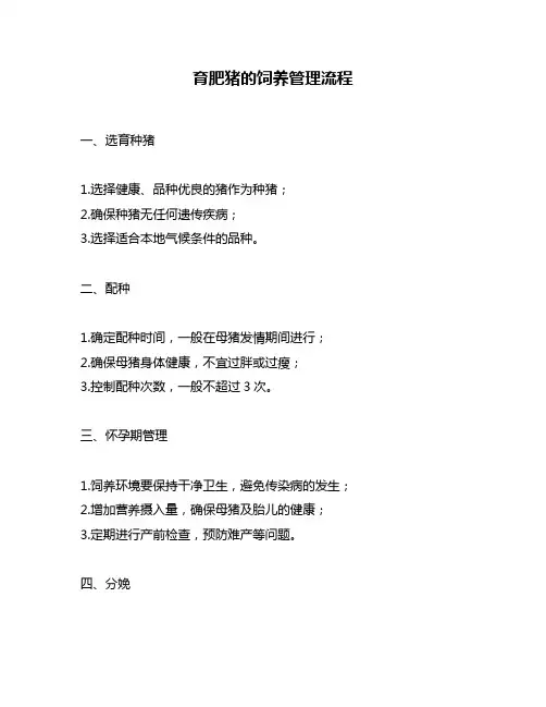 育肥猪的饲养管理流程