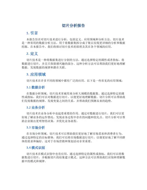切片分析报告
