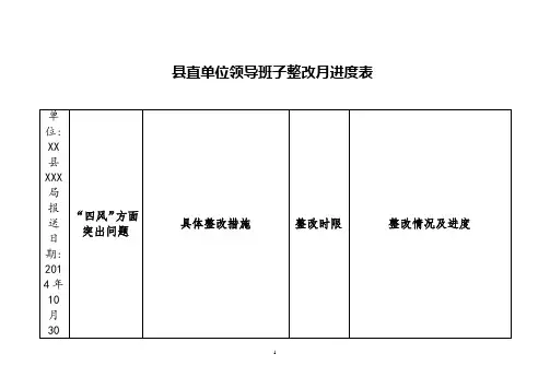 XX县XXX局领导班子整改进度表