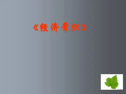 高考政治 教师培训经济常识课件 新人教版