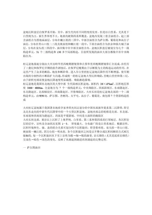 大庆油田区域储层特征认识