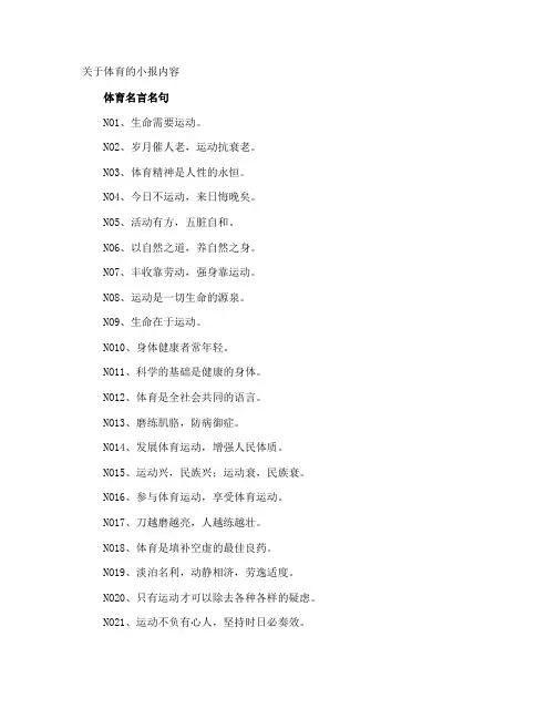 体育的小报内容