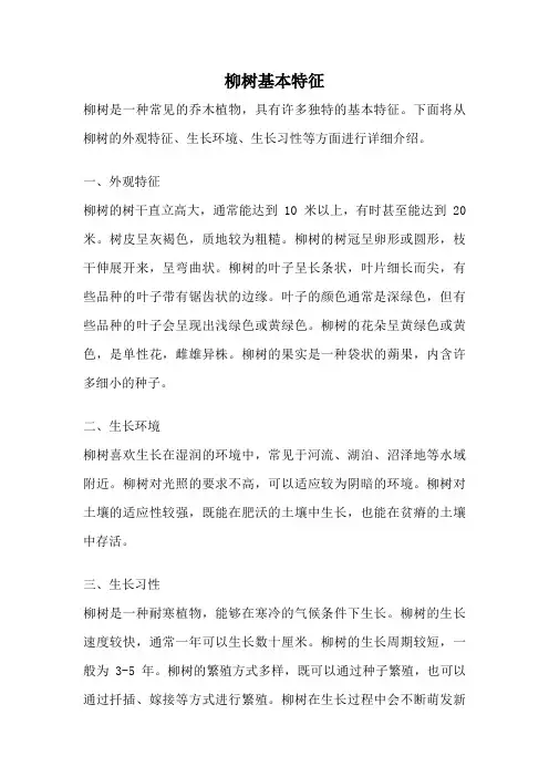 柳树基本特征