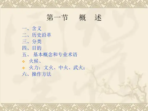 加辅料炒法