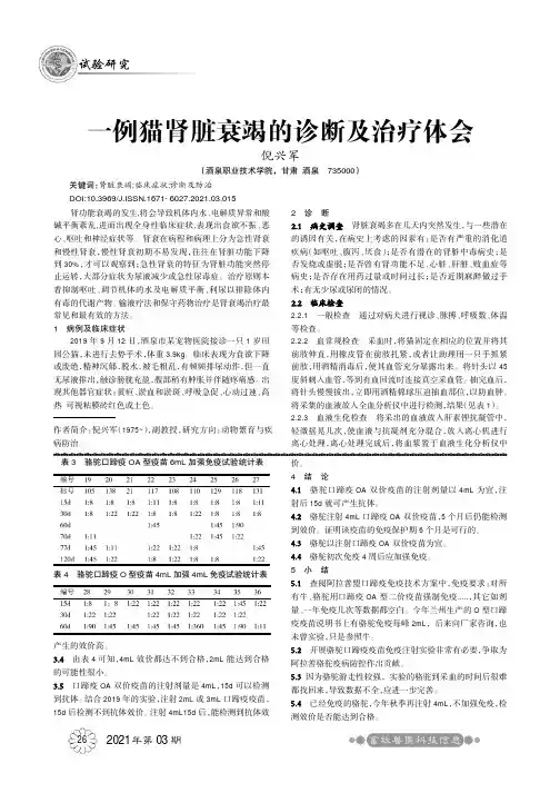 一例猫肾脏衰竭的诊断及治疗体会
