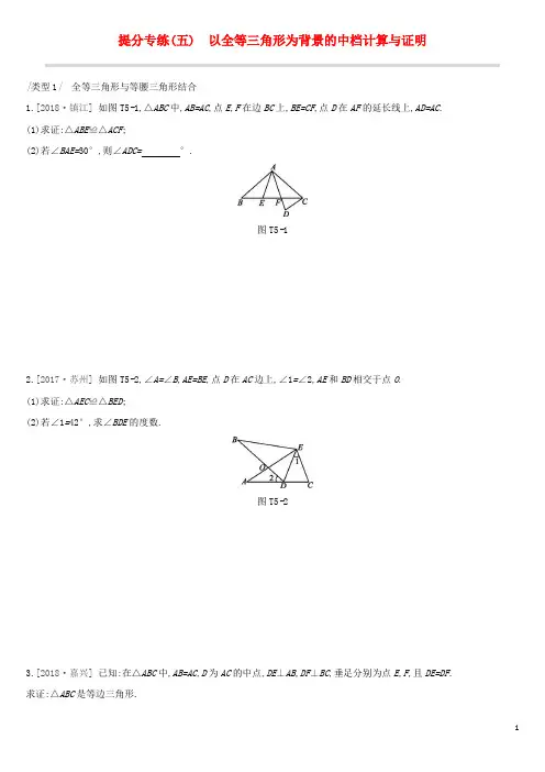 中考数学复习提分专练(五)以全等三角形为背景的中档计算与证明试题