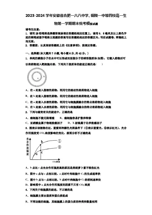 2023-2024学年安徽省合肥一六八中学、铜陵一中等四校高一生物第一学期期末统考模拟试题含解析