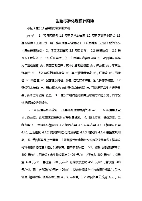 建设项目实施方案编制大纲