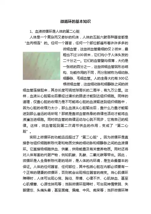 微循环的基本知识