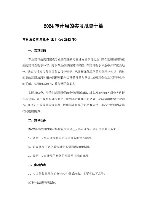 2024审计局的实习报告十篇
