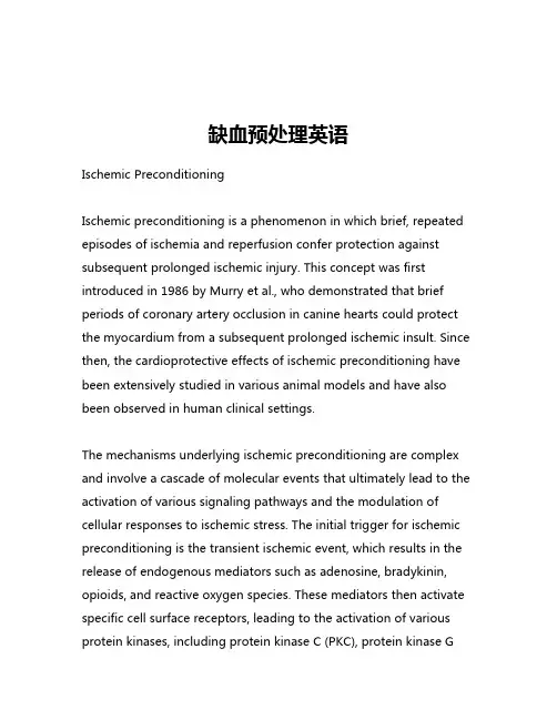 缺血预处理英语