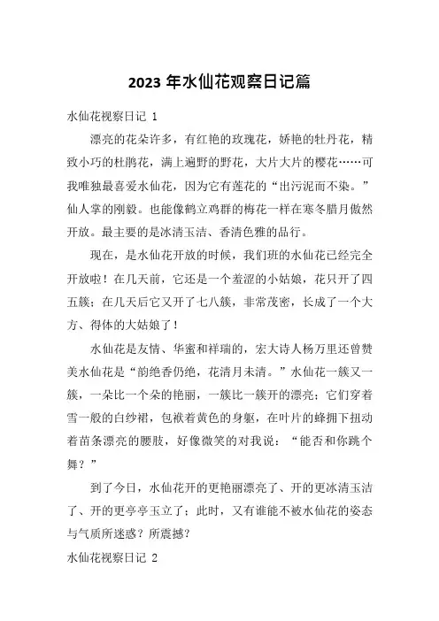 2023年水仙花观察日记篇