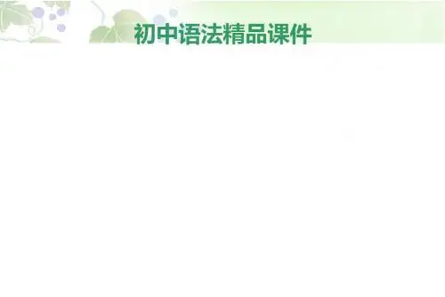 2014年中考英语总复习：语法精品课件(828页)