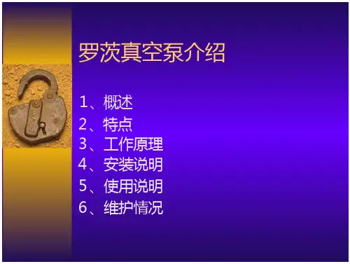 b罗茨真空泵介绍
