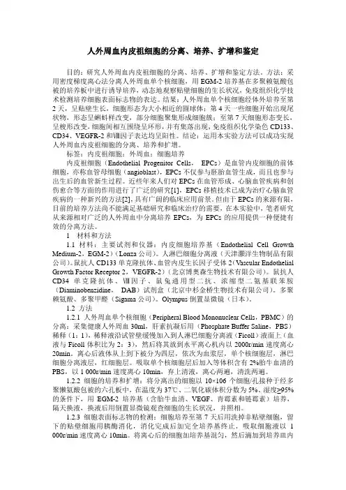 人外周血内皮祖细胞的分离、培养、扩增和鉴定