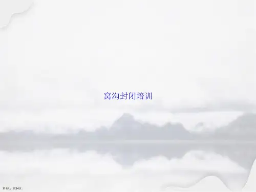 窝沟封闭培训讲课文档