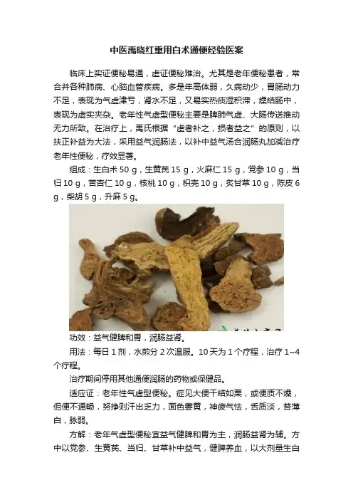 中医禹晓红重用白术通便经验医案