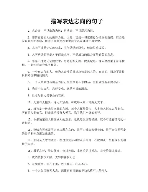 描写表达志向的句子