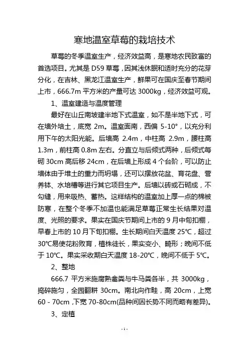 寒地温室草莓的栽培技术