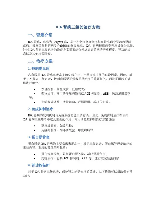 iga肾病三级的治疗方案