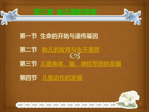 胎儿期的发育PPT课件
