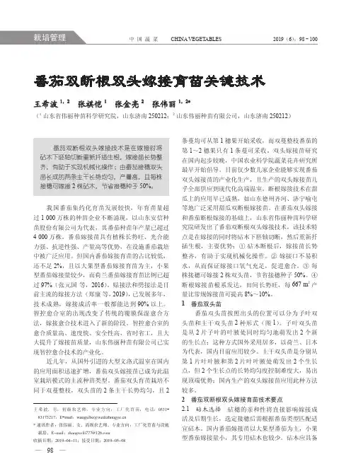 番茄双断根双头嫁接育苗关键技术