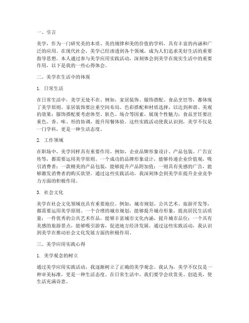 美学应用实践心得体会