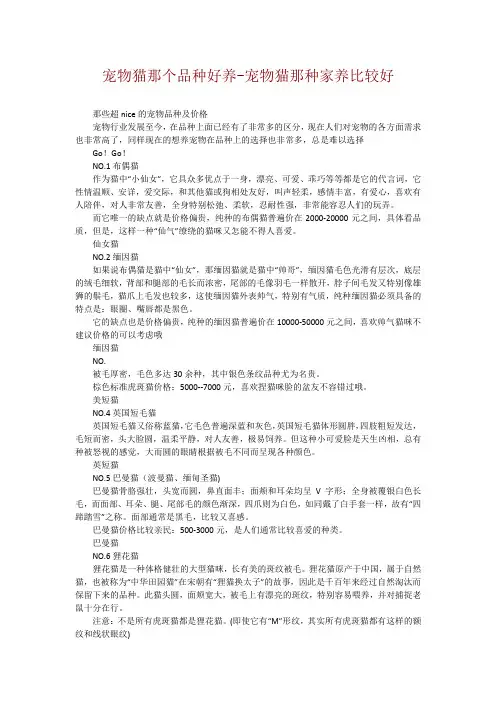 宠物猫那个品种好养-宠物猫那种家养比较好