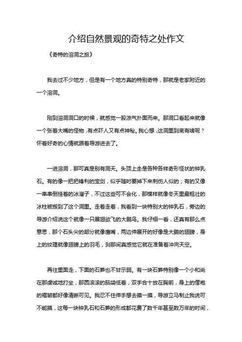 介绍自然景观的奇特之处作文_93963