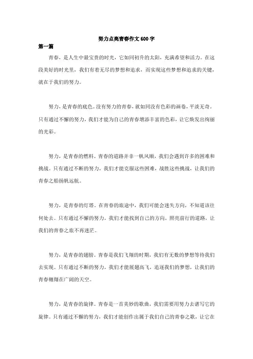 努力点亮青春作文600字