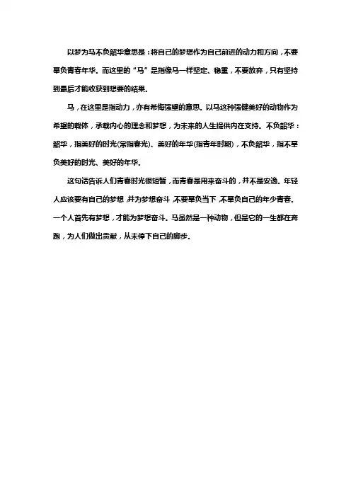 以梦为马,不负韶华寓意