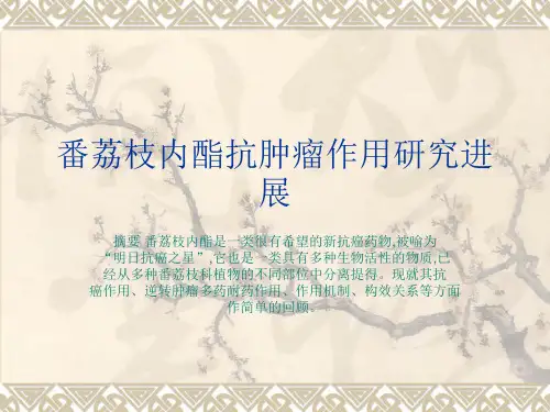 番荔枝内酯抗肿瘤课件1.15