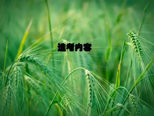 高考物理总复习 机械振动课件课件