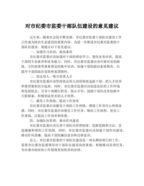 对市纪委市监委干部队伍建设的意见建议