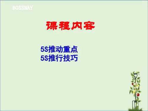 5S推行技巧解析