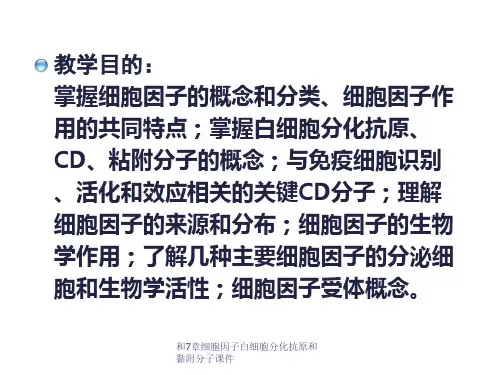和7章细胞因子白细胞分化抗原和黏附分子课件