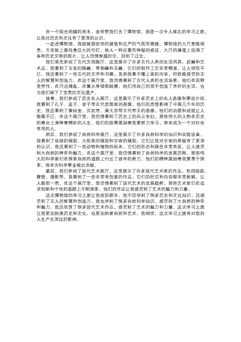 我在博物馆的学习之旅
