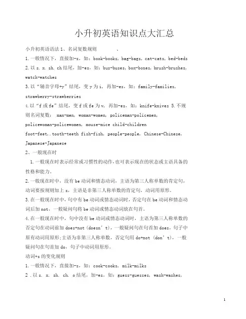 译林版小升初英语知识点大汇总-优质版