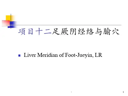 经络学-足厥阴肝经课件