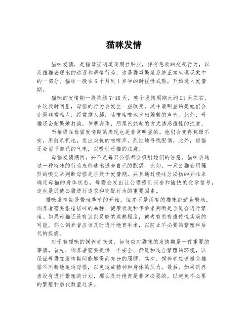 猫咪发情 
