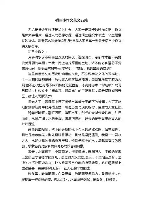 初三小作文范文五篇