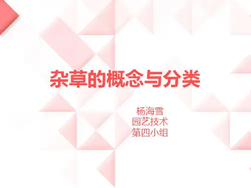 杂草的概念与分类------杨海雪