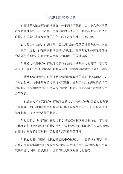 前额叶的主要功能