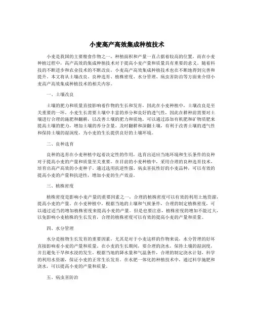 小麦高产高效集成种植技术