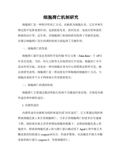 细胞凋亡机制研究