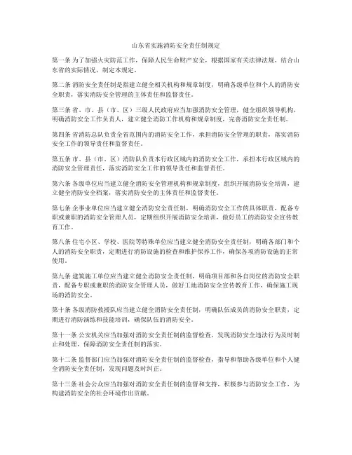 山东省实施消防安全责任制规定